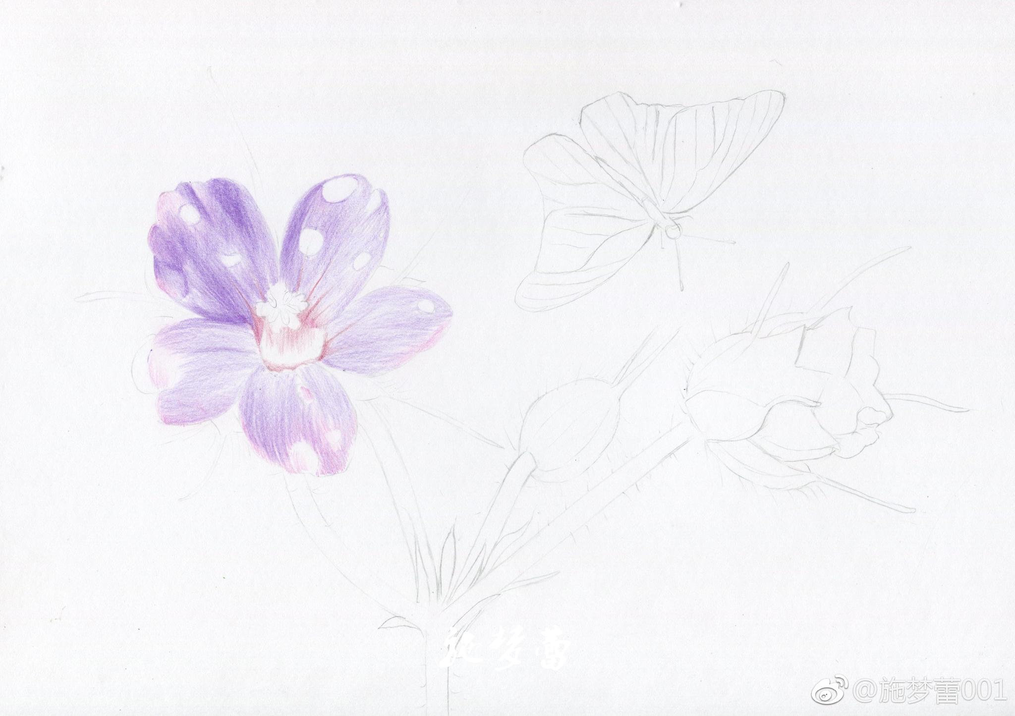 纤云弄巧,飞星传恨,银汉迢迢暗度