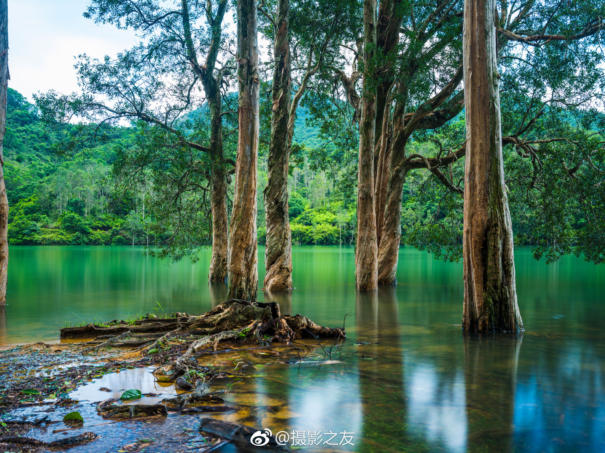 富士无反中画幅GFX 50S样片欣赏,来自富士全