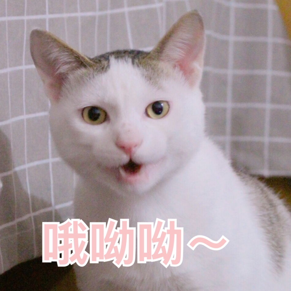 表情月球281:小崽子落我手里了吧?来呀…气猫咪搞笑图图片