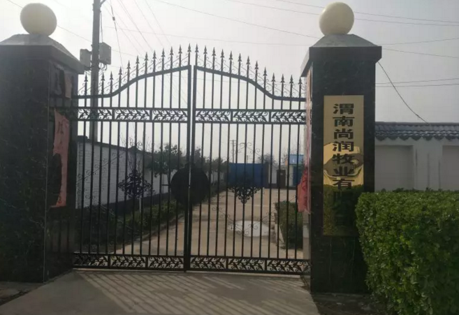 渭南尚润牧业有限公司:爱尚养猪模式涉嫌欺诈