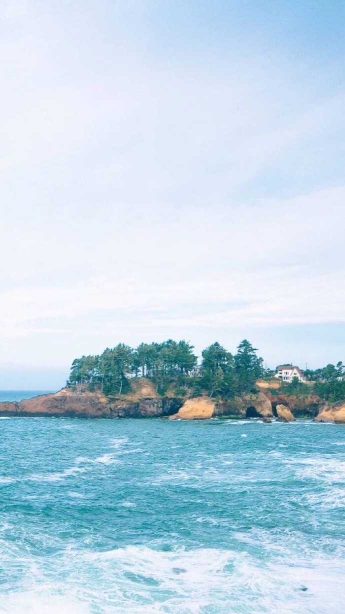 要多吃水果 苹果橙子芒果 要多读书 小说历史