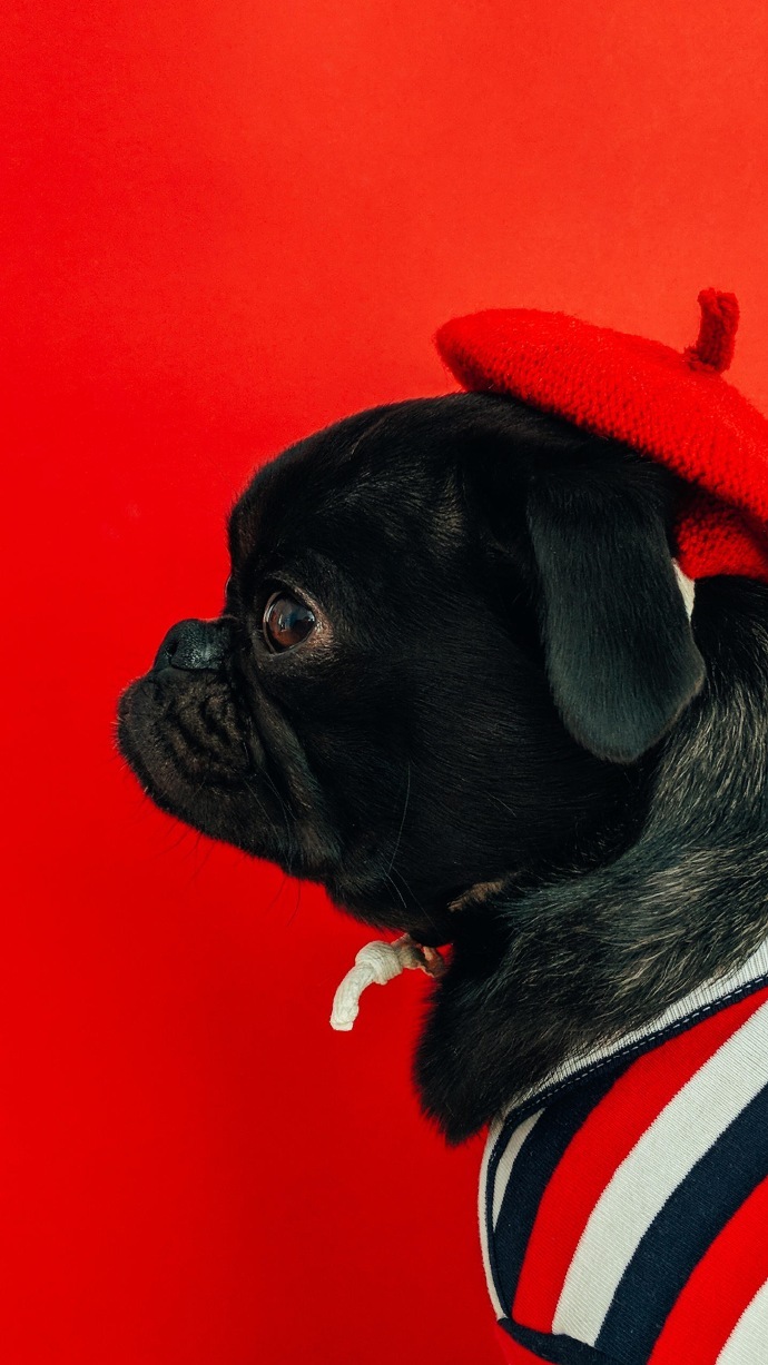 雪沫乳花浮午盏 ,蓼茸蒿笋试春盘,人间有味是清