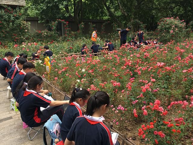 中小学生绿色生态研学旅行 首场公园自然笔记