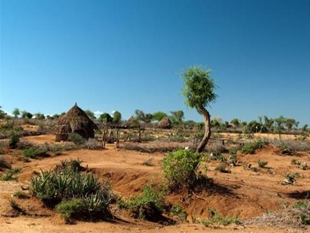 非洲资源很丰富, 为什么很多人却普遍都很穷, 网
