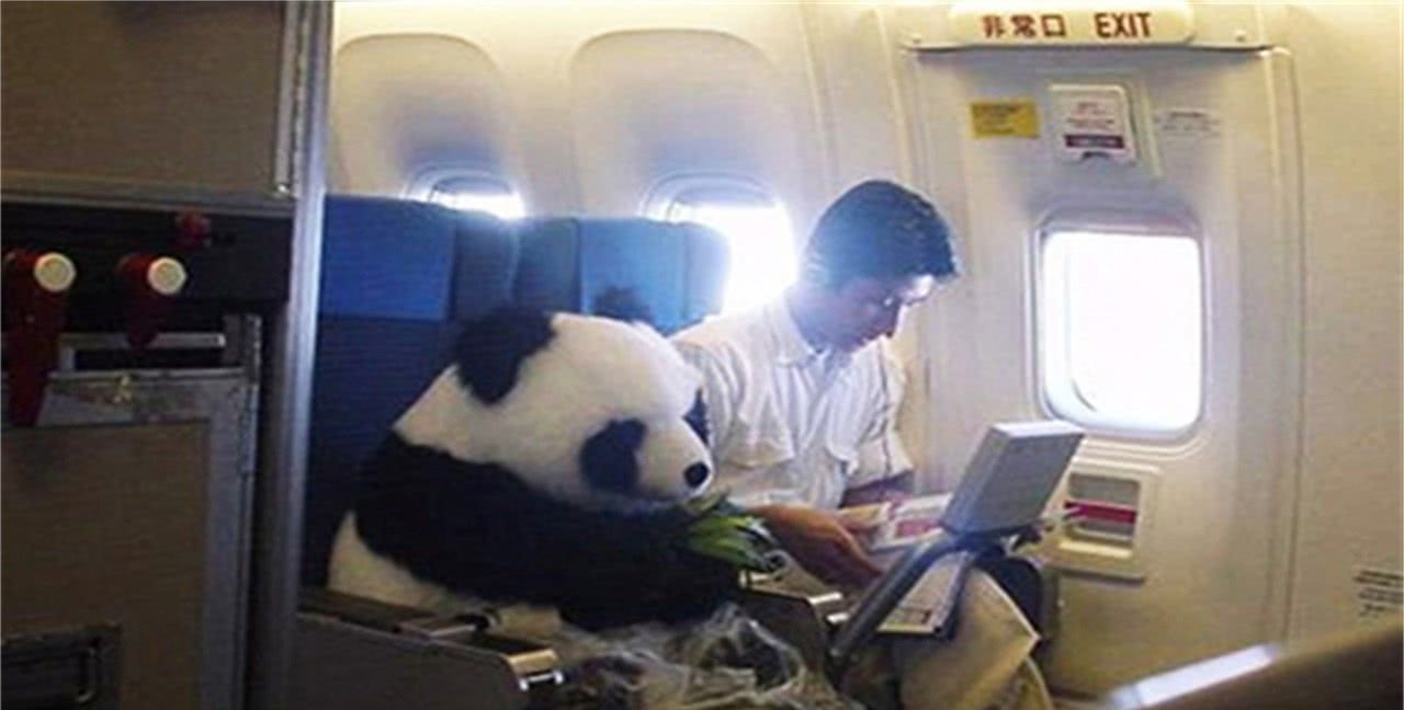 为什么更愿意坐10和小时动车,也不愿意坐飞机