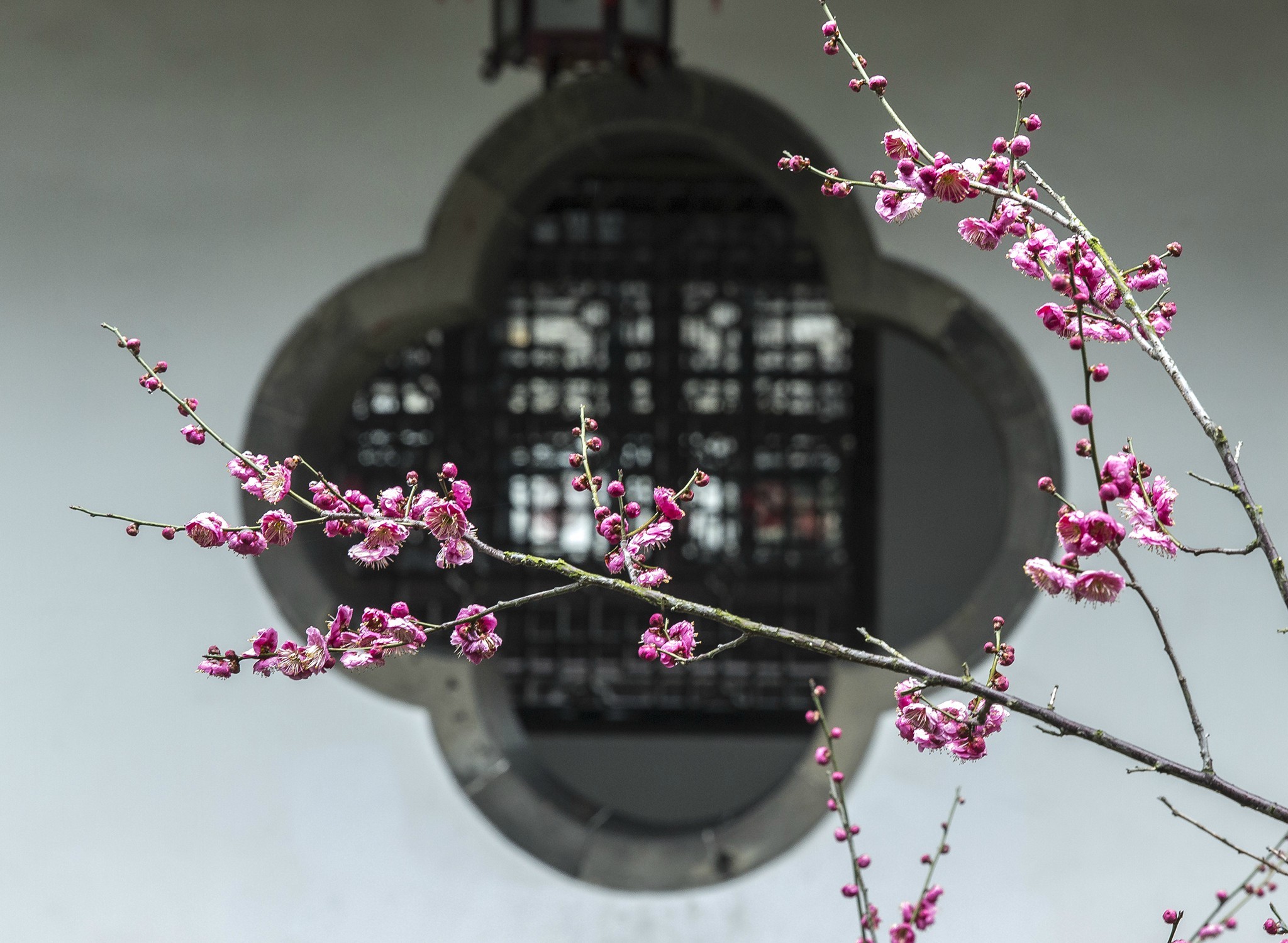 古风圆窗:透的是风景,看的是意境!