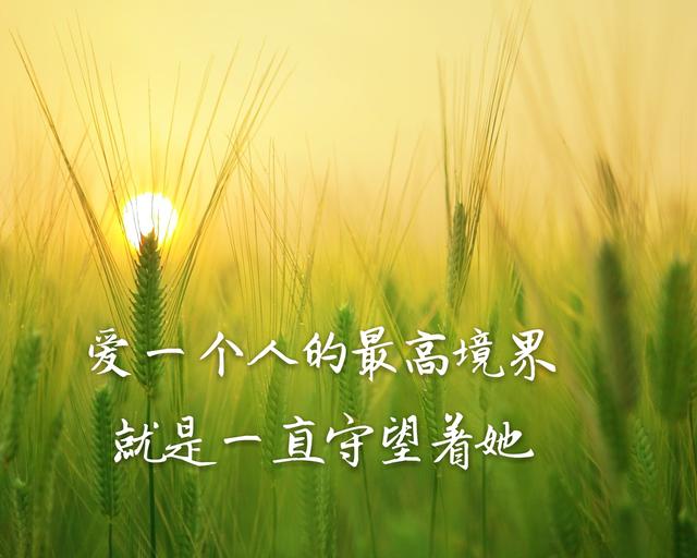 我爱你无论何时我都会陪在你身边