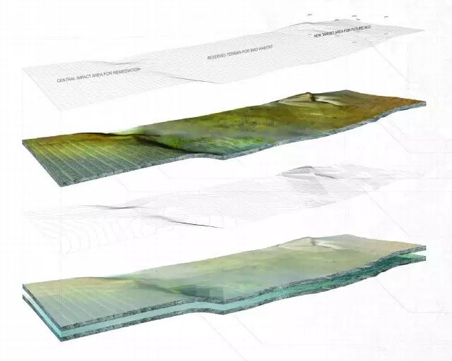 从高阶数据看芝加哥公牛战术体系演变与实战应用效果