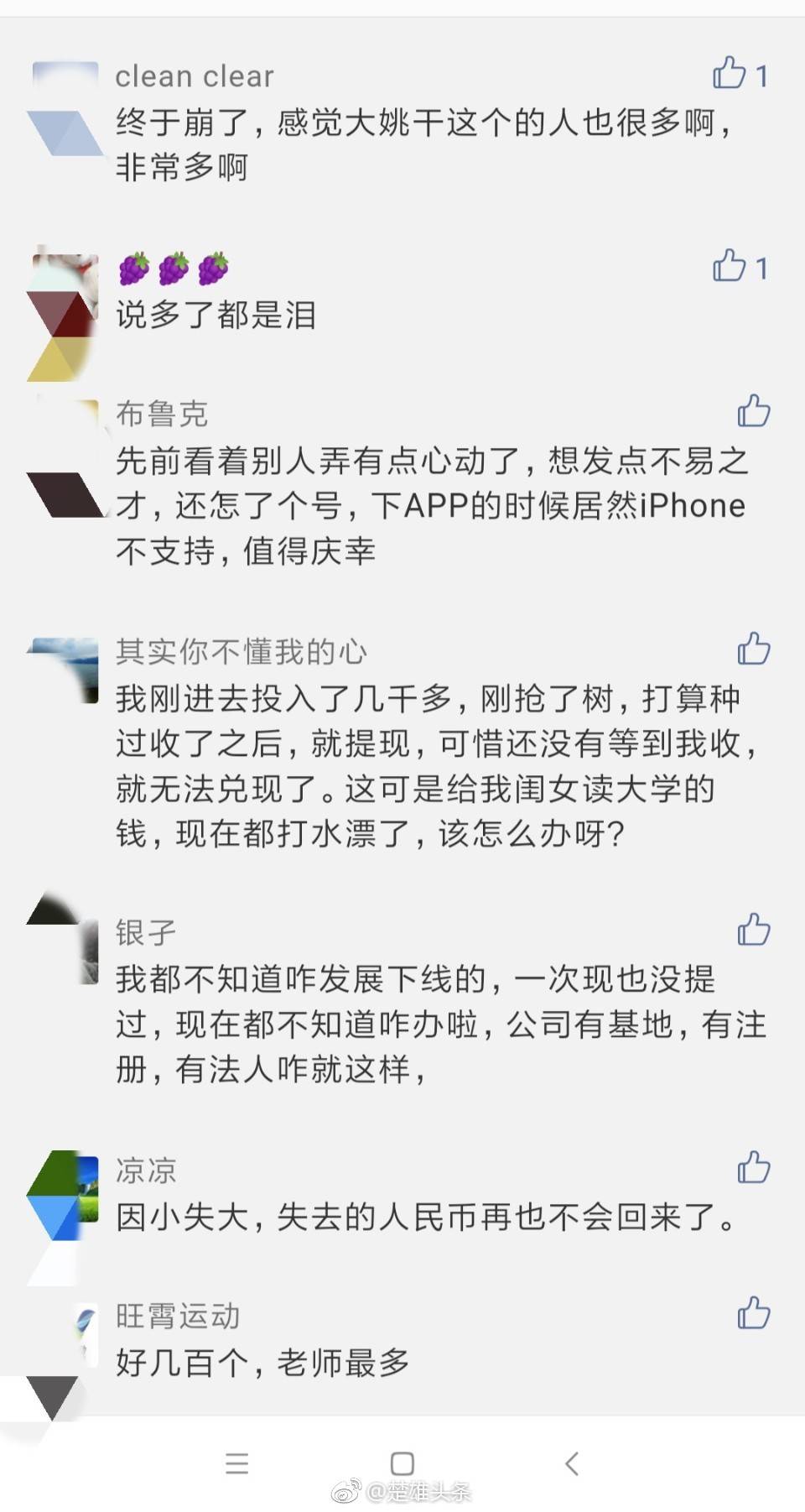 蜀桑源崩盘,几十万人血本无归,云南楚雄多人中