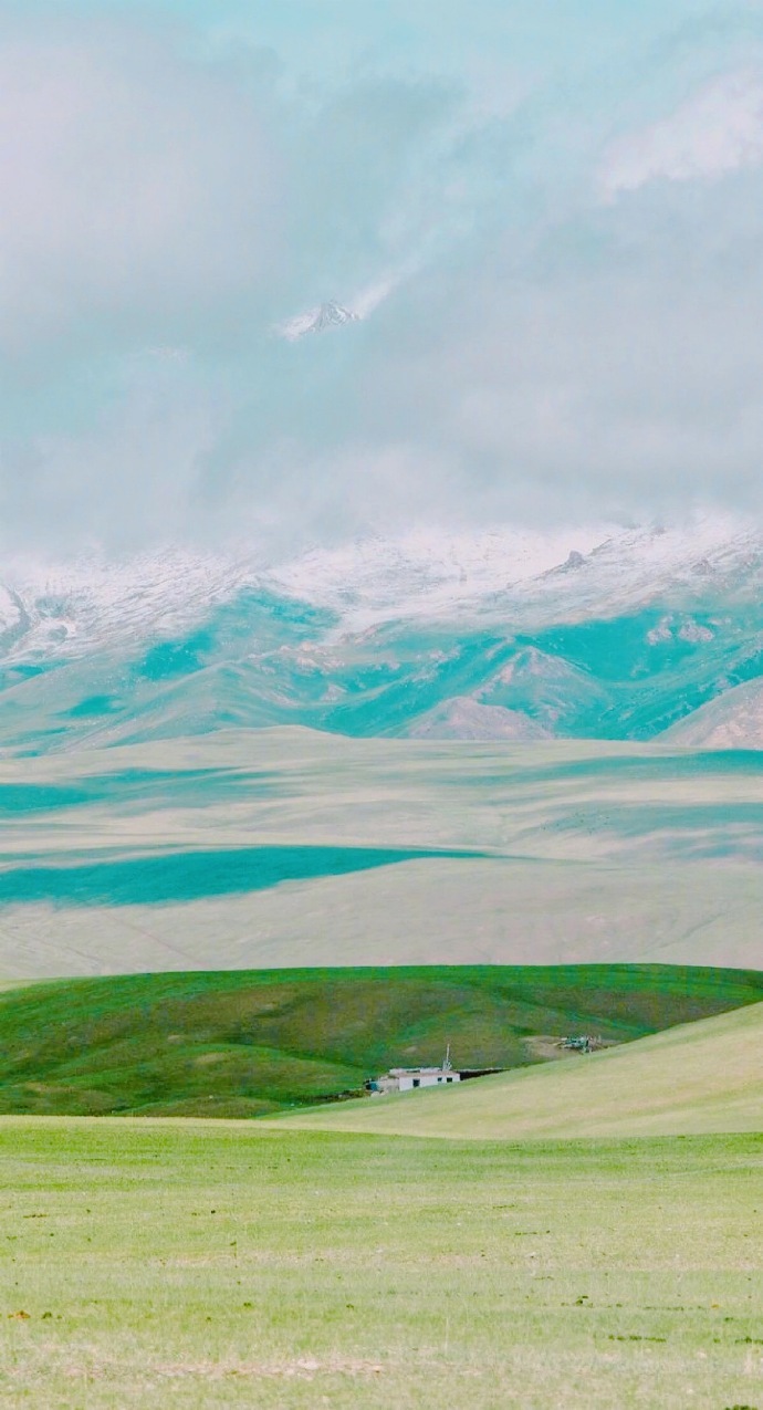 雪沫乳花浮午盏 ,蓼茸蒿笋试春盘,人间有味是清