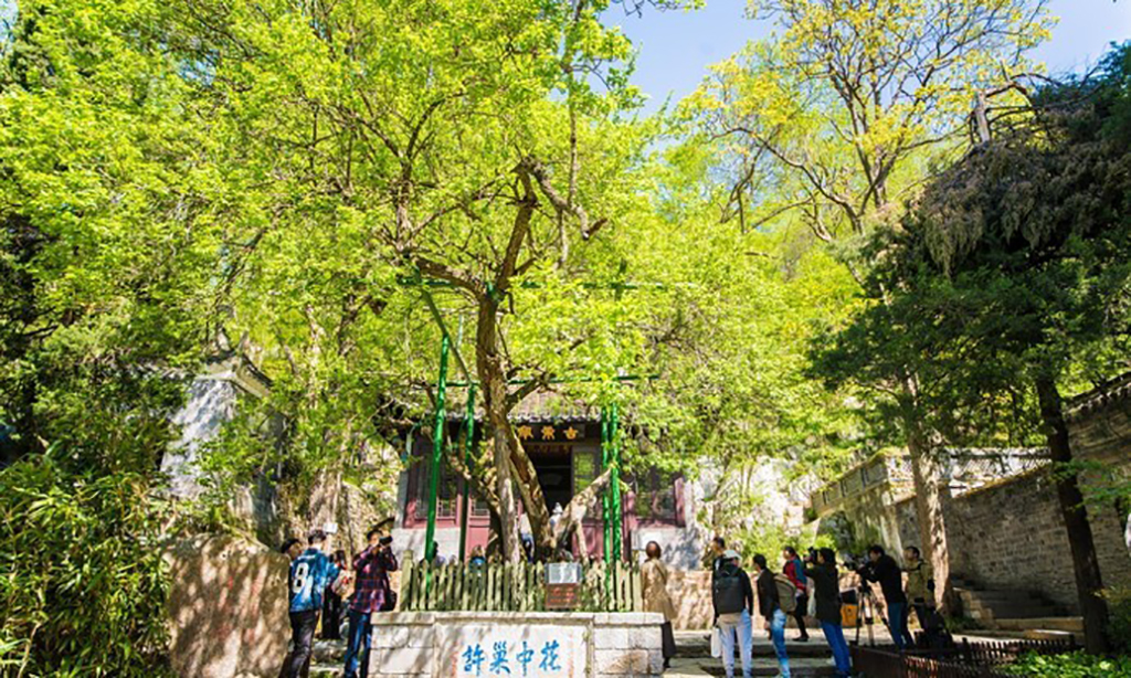 看完《琅琊榜》但是你不一定有去过的琅琊山，他就在安徽滁州这里