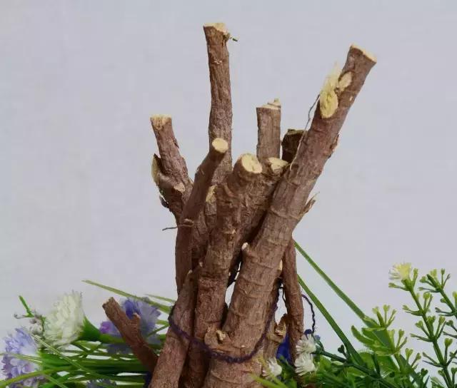 北方人夏天最解渴的饮料: 甜草根水