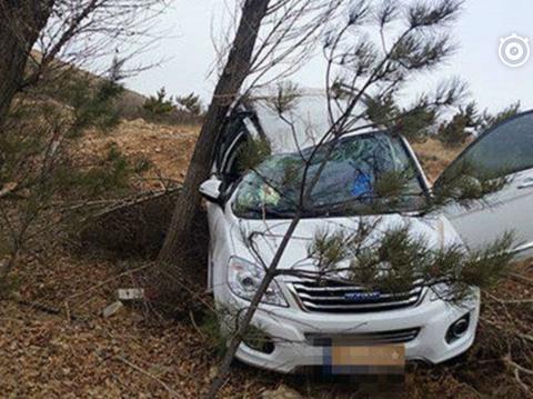 哈弗H6遭遇离奇车祸，网友：怎么办到的