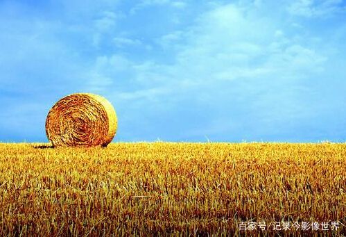 中国宣布将对粮食加征25%的关税,一场更恐怖