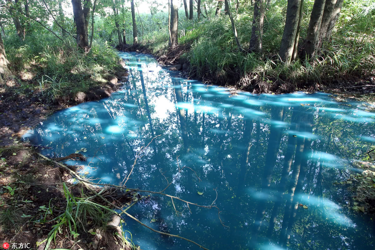 世界水日关注各国水污染 生命之源成头号杀手