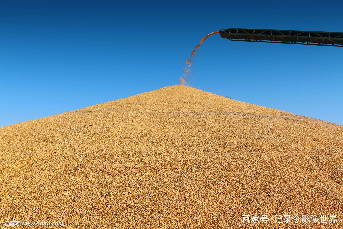 中国宣布将对粮食加征25%的关税,一场更恐怖