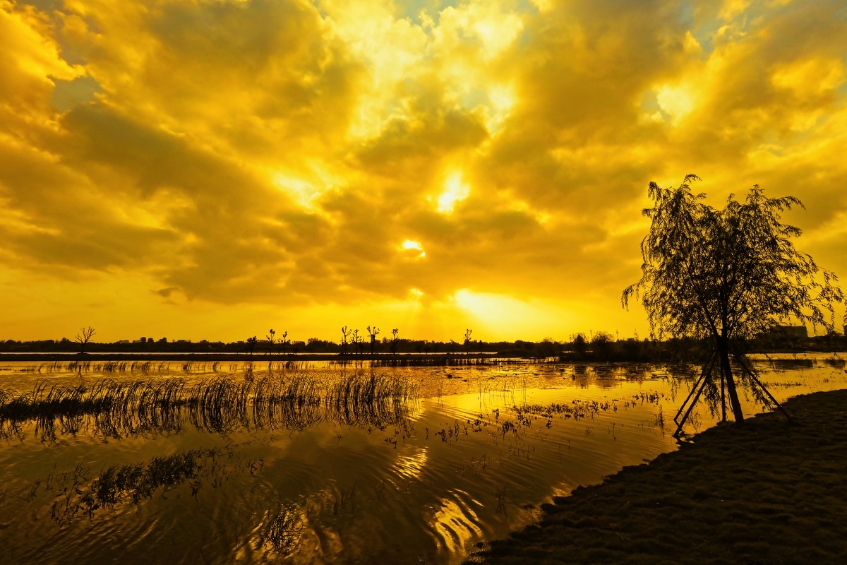 不管人间是与非,白云流水自相依。一瓢挂树傲