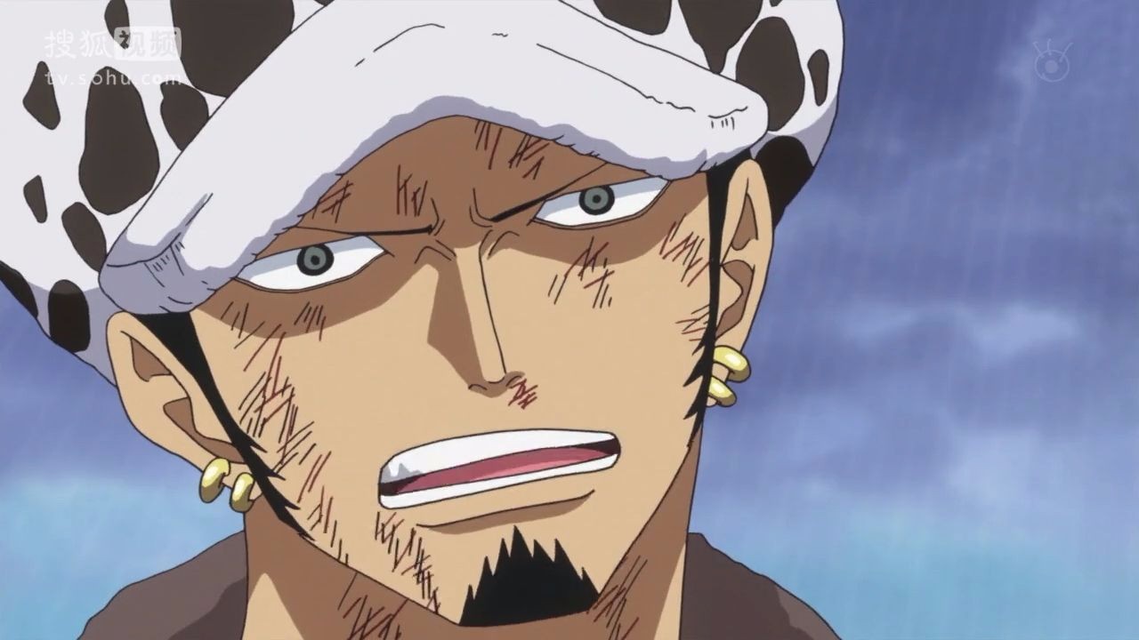 海贼王最强超人系,非特拉法尔加罗手术果实莫属