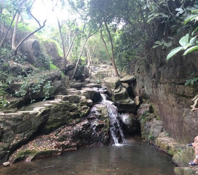 深圳海拔最高的7座山,你征服了几个?