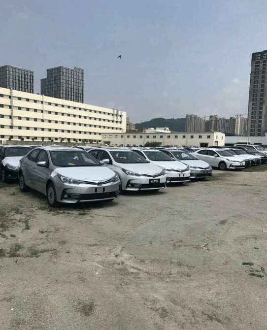停车场偶遇上百台卡罗拉库存车, 4S店: 物美价廉, 全部半价!