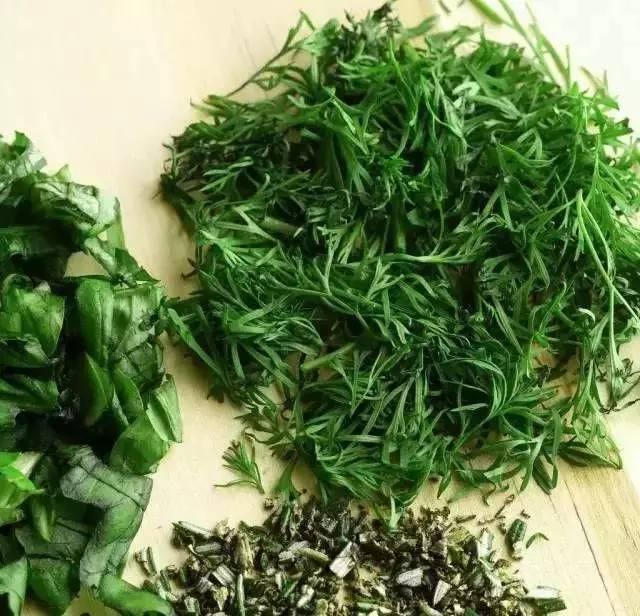 开春,新鲜时令野菜大盘点,一定要吃这八种芽