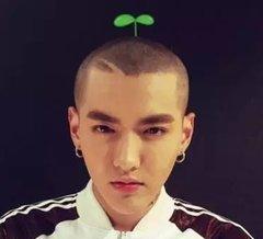 男明星的光头造型,霍建华吴亦凡帅气,但最Man的还是他