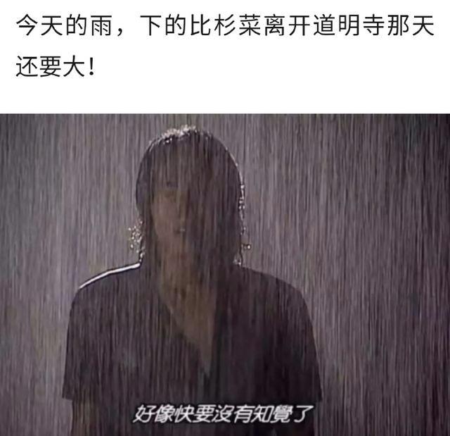 今天的雨，下的跟依萍她爸要钱那天一样大「下雨表情包」