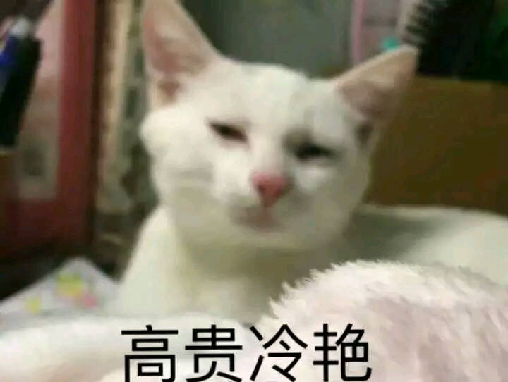 表情表情281:小崽子落我手里了吧?来呀…气嘻嘻_的猫咪包开玩笑我图片