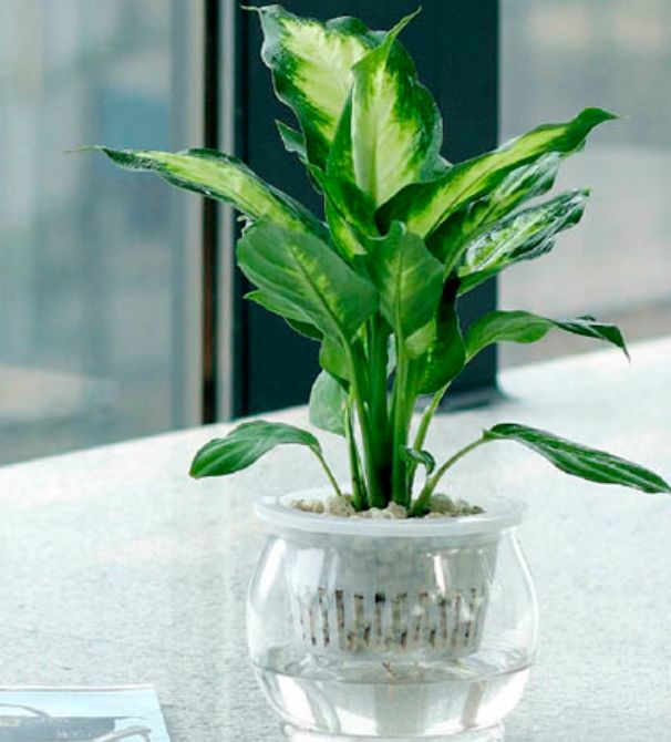 小学生必读书单推荐 适合小学生阅读的书籍有哪些