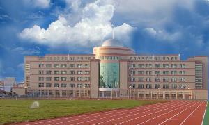 山东省地级市人排名_山东最有潜力的地级市,不是济南却胜济南