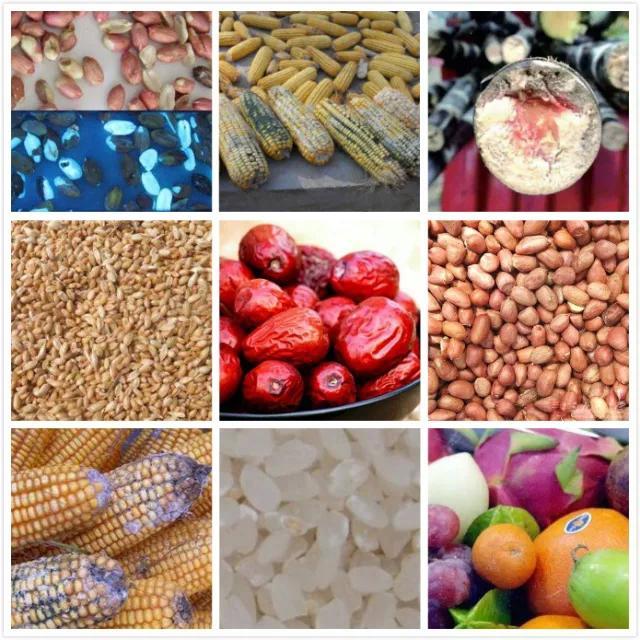 隐形杀手之真菌毒素