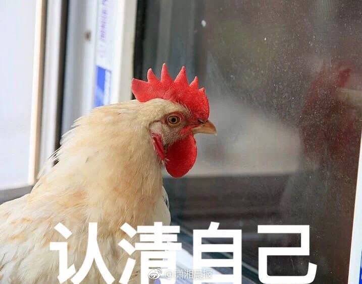 去年长沙城镇非私营单位在岗职工年平均工资 