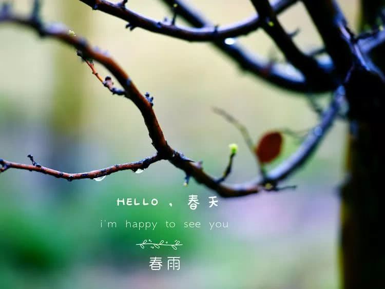雨,在春天里歌唱!