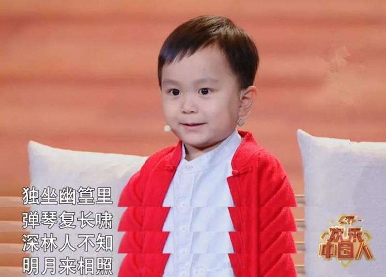 王恒屹是如何成为神童的?他家人有什么诀窍?