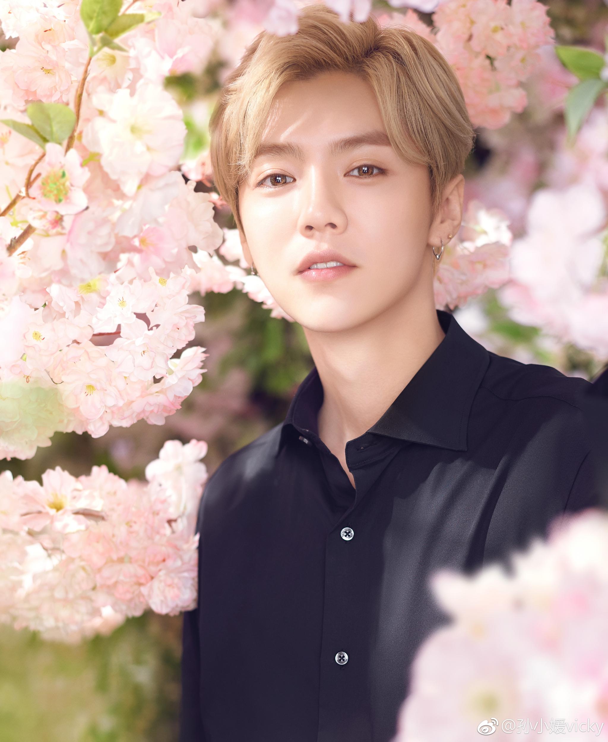 推荐我最爱的鹿晗同款甜蜜樱花沐浴套装细密泡