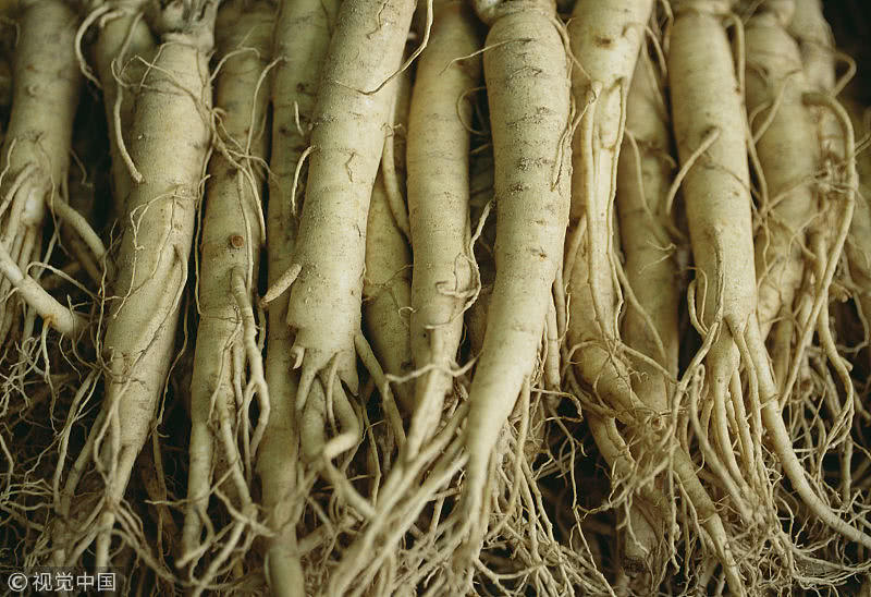 西洋参,黄芪,枸杞可以一起泡水喝吗?