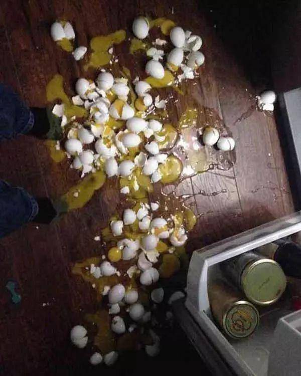 地球上最倒霉的20个瞬间，每一张照片都能让人绝望！