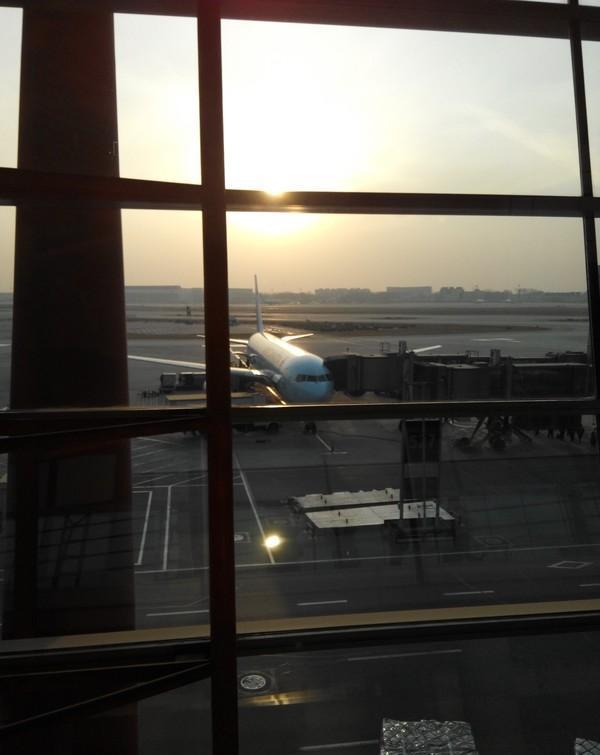 外国人来中国旅游, 这个老外的评论和看法不同