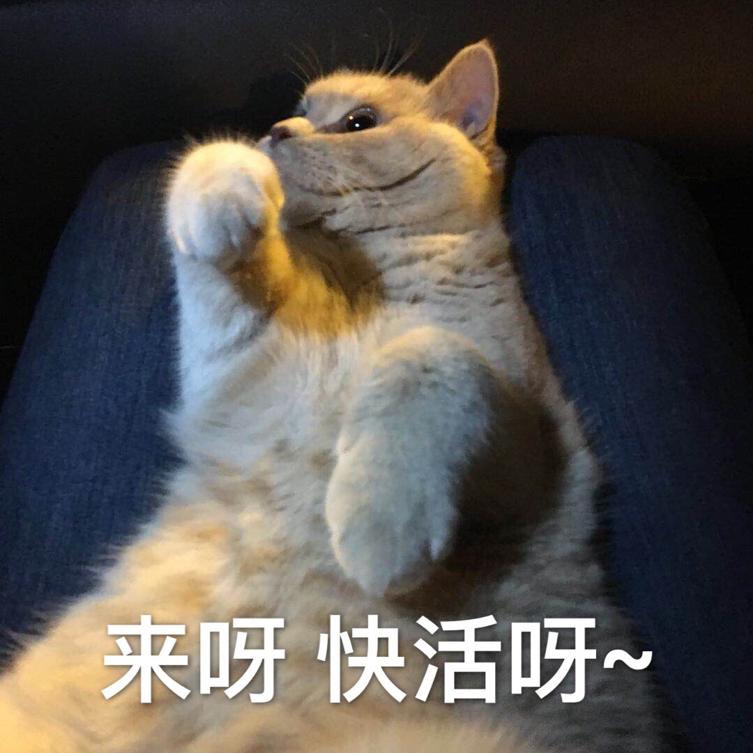 表情表情281:小崽子落我手里了吧?来呀…气搞笑加猫咪文字包图片