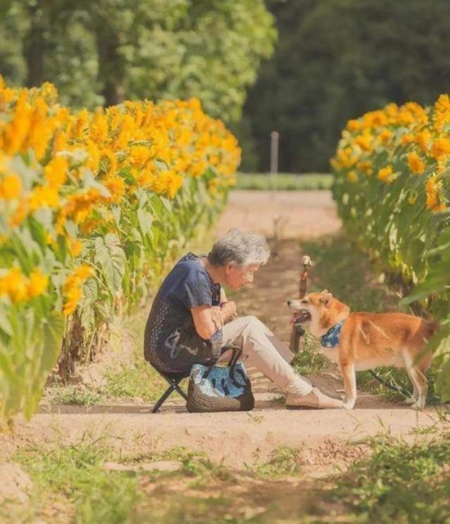 孤独才是人生常态