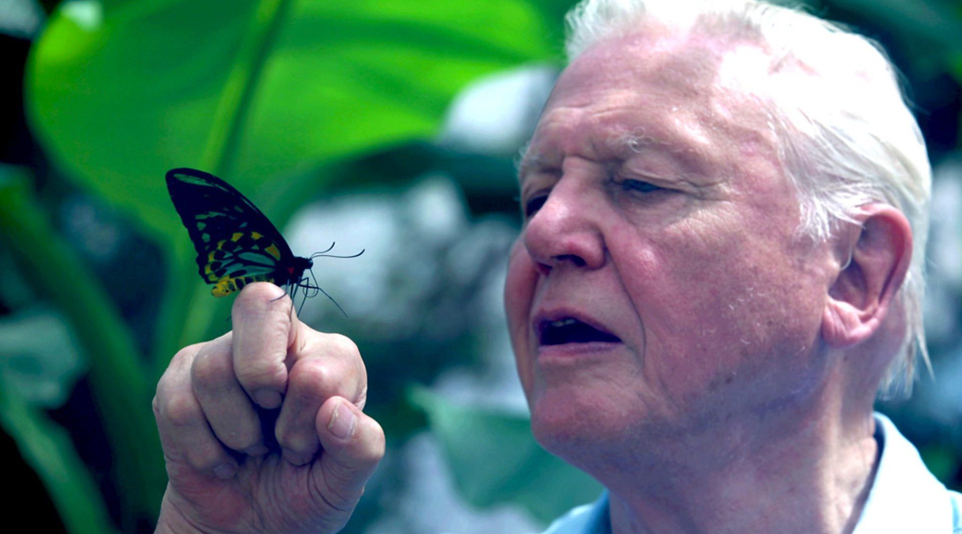 一周最新纪录片汇总.2018.08.25-08.31[附片源