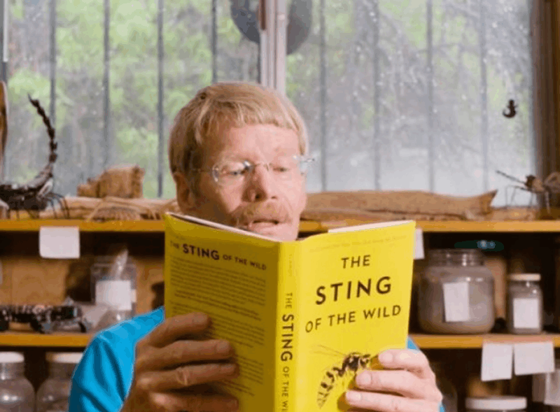 被各种毒虫咬到究竟有多疼, 科学家用肉体亲身