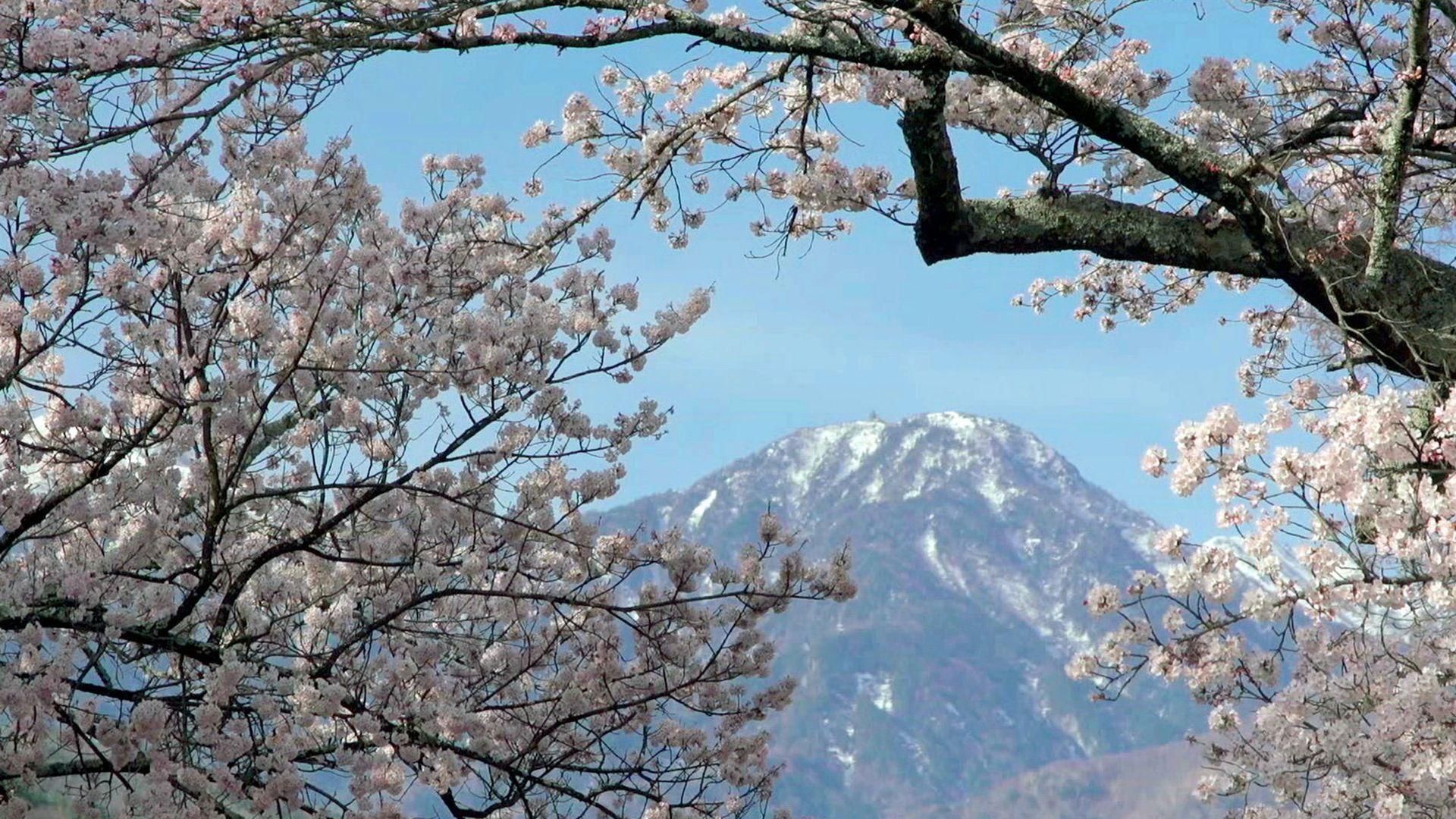 一周最新纪录片汇总.2018.08.18-08.24[附片源