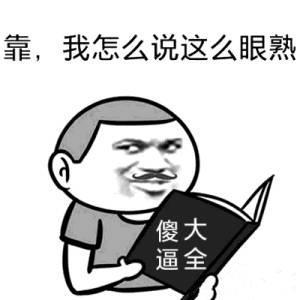 斗图表情包,开车挂档,非常娴熟