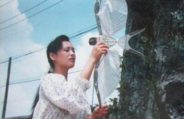 经历婚姻失败,独自带大儿子,外界对宁静的泼辣误会了太多年