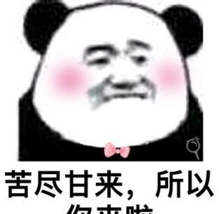 苦海无涯，回头是我啊~情话熊猫头表情合集
