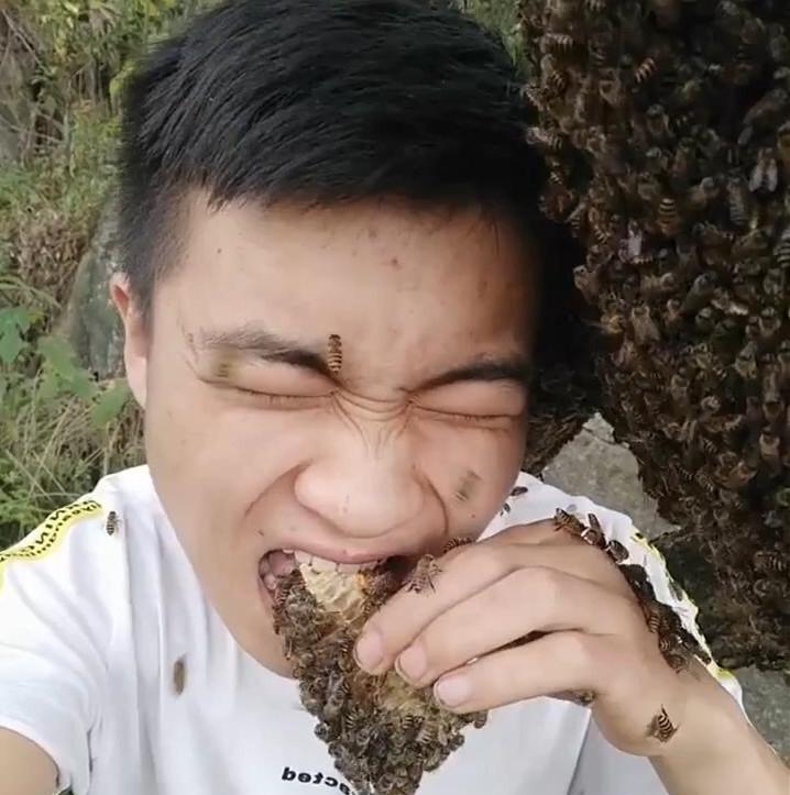 网络主播吃蜂蜜, 是在吃蜂蜜还是在吃蜜蜂?