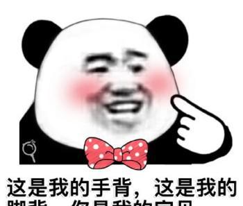 苦海无涯，回头是我啊~情话熊猫头表情合集