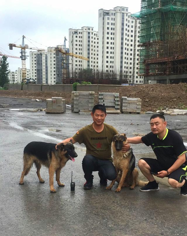 警犬丢失,志愿者神速破案将其找回