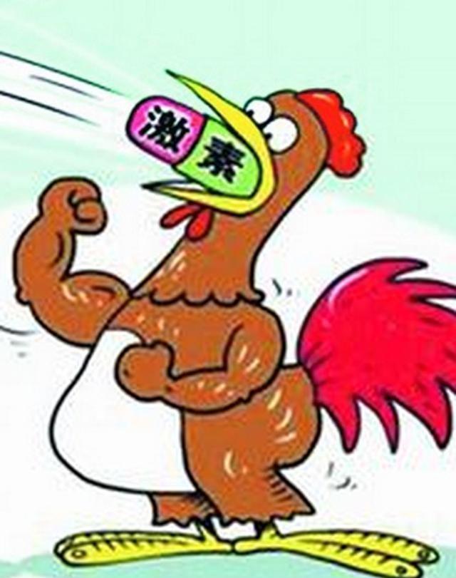 “激素鸡”是真是假, 谣言毁农还是确有其事?